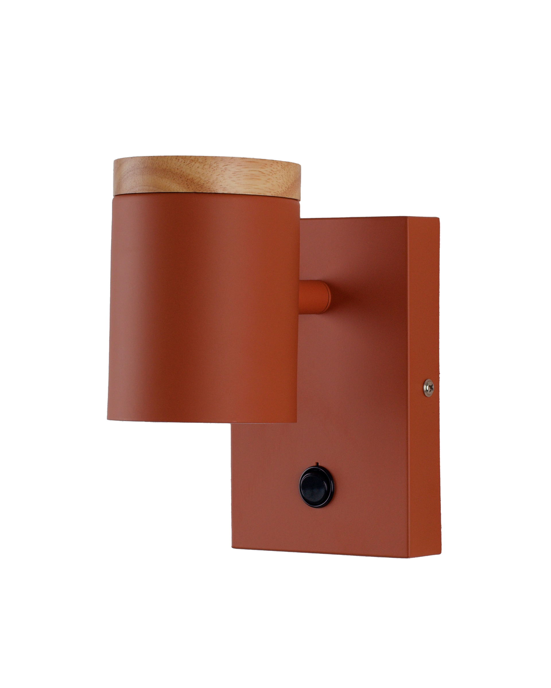 Светильник настенный Moderli V11293-1W Asheswood