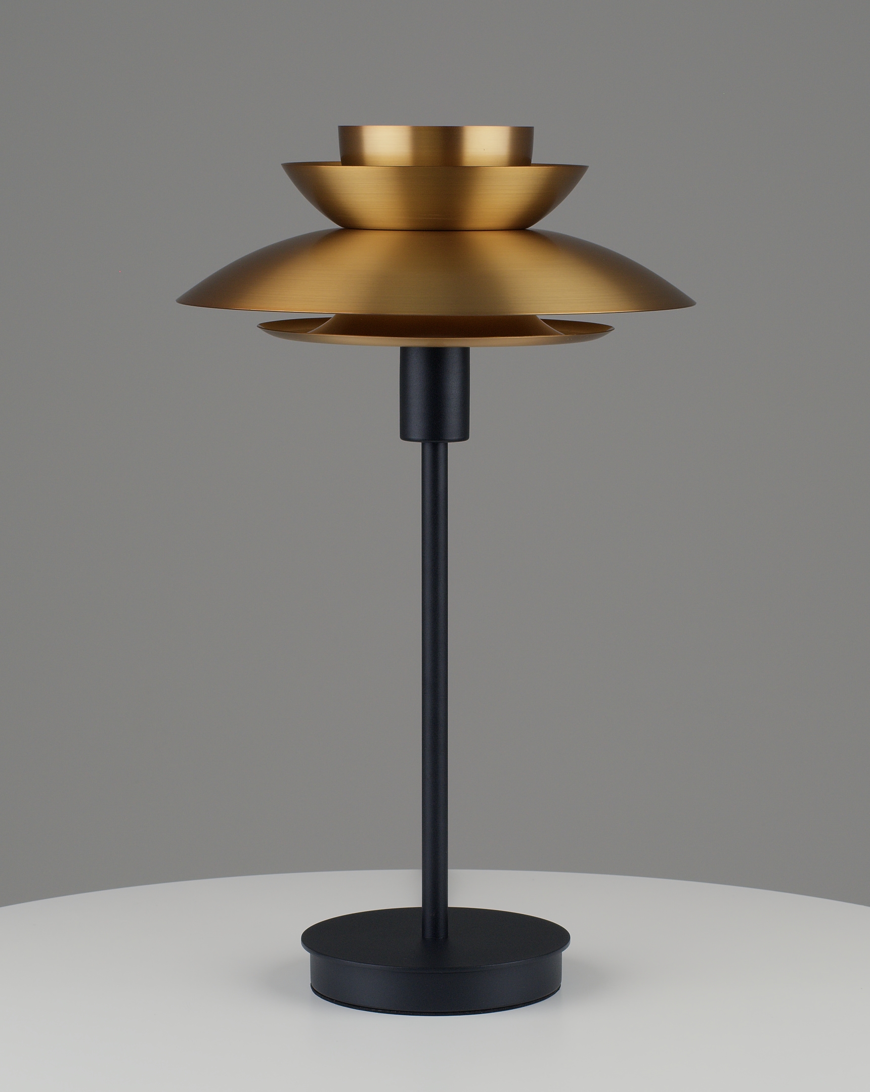 Лампа настольная Moderli V11298-1T Shaggy — изображение 2