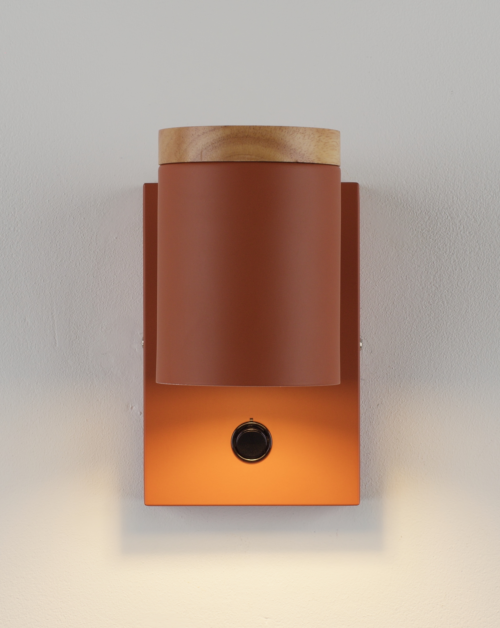 Светильник настенный Moderli V11293-1W Asheswood — изображение 3