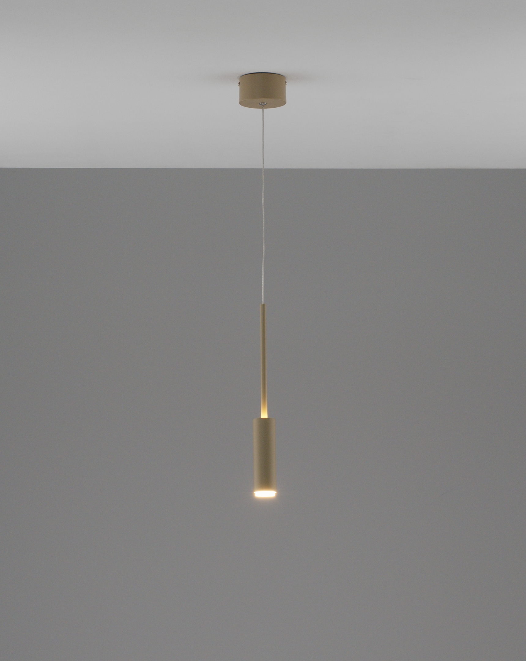 Светильник подвесной светодиодный Moderli V11396-PL Rin