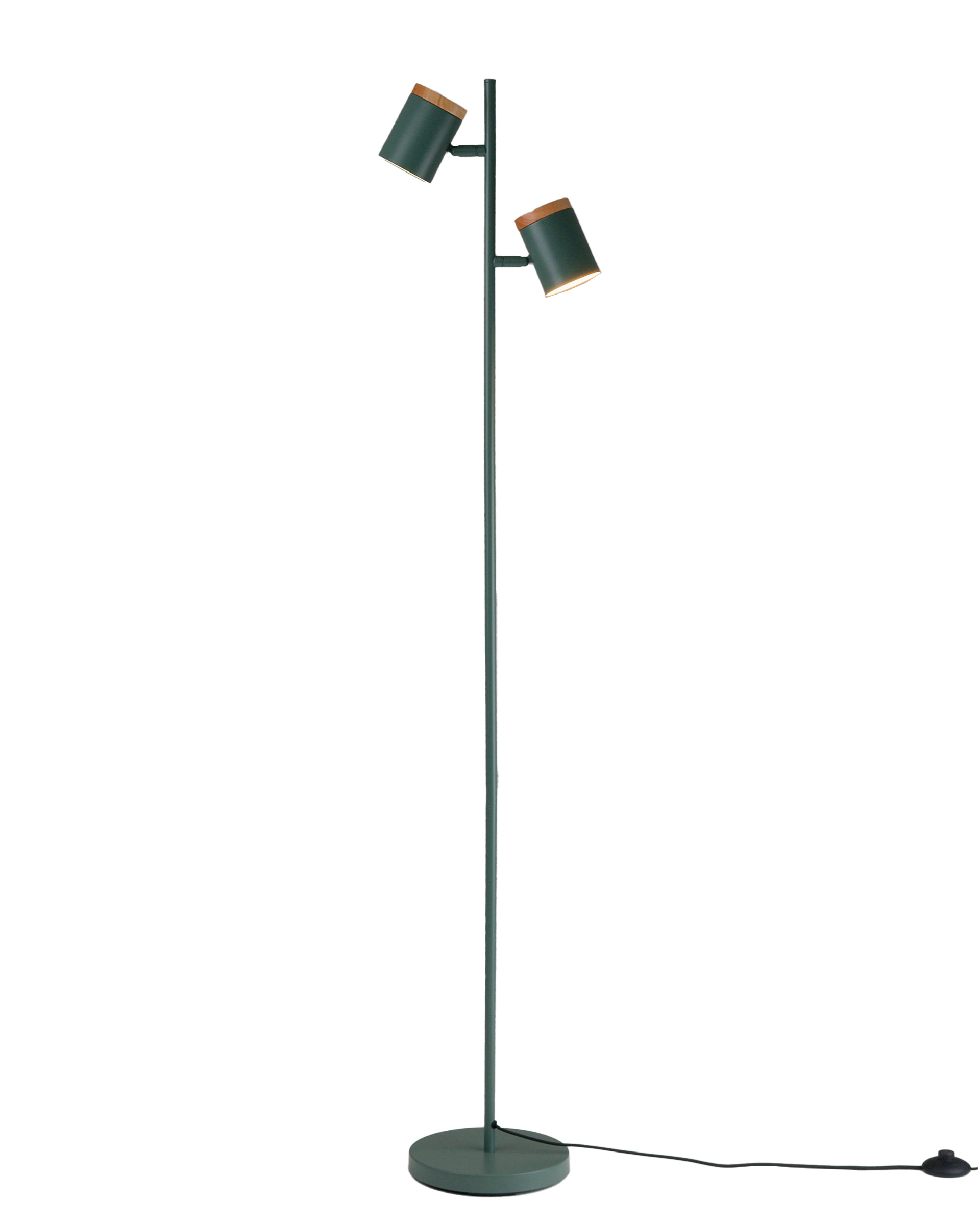 Торшер Moderli V11290-2F Asheswood