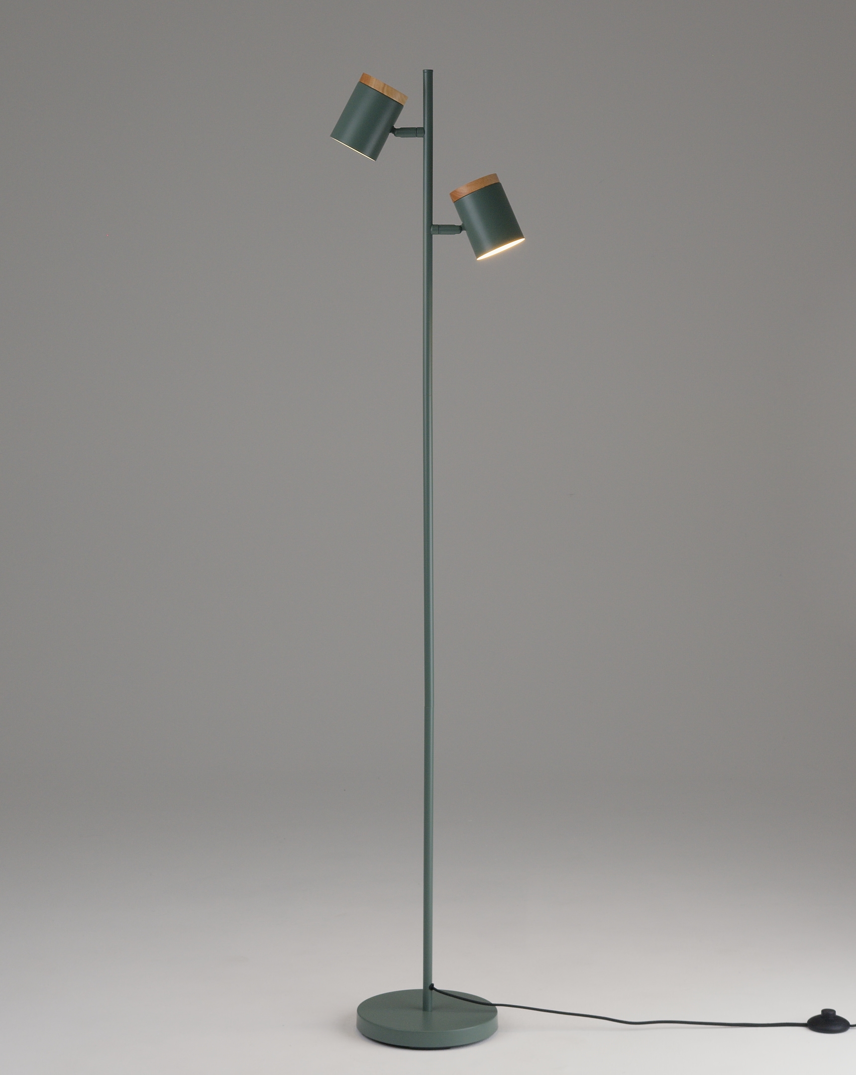 Торшер Moderli V11290-2F Asheswood — изображение 3