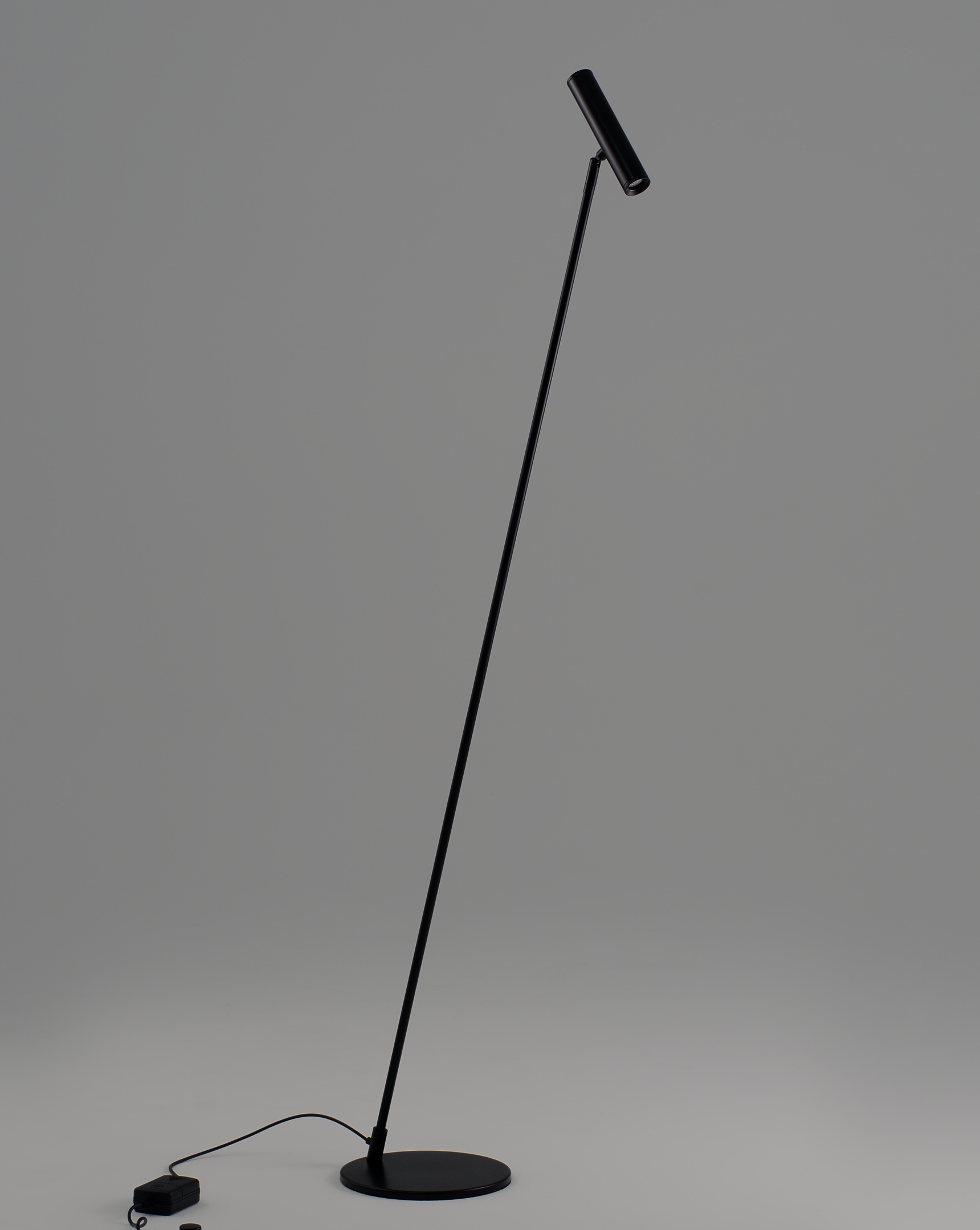 Торшер светодиодный Moderli V11082-FL Harmo — изображение 2