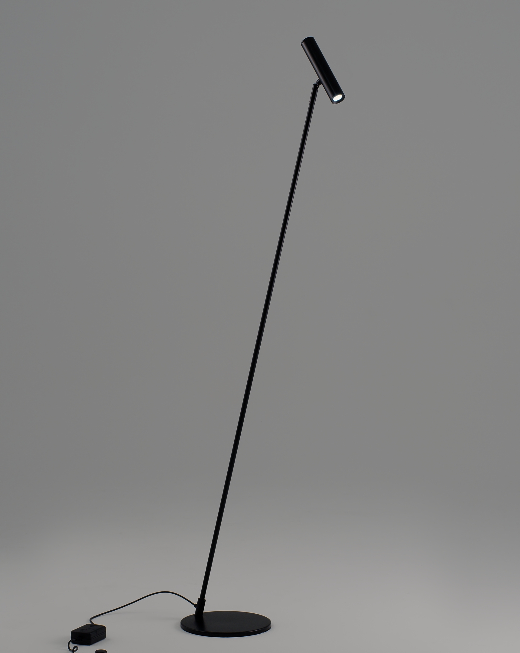 Торшер светодиодный Moderli V11082-FL Harmo — изображение 3